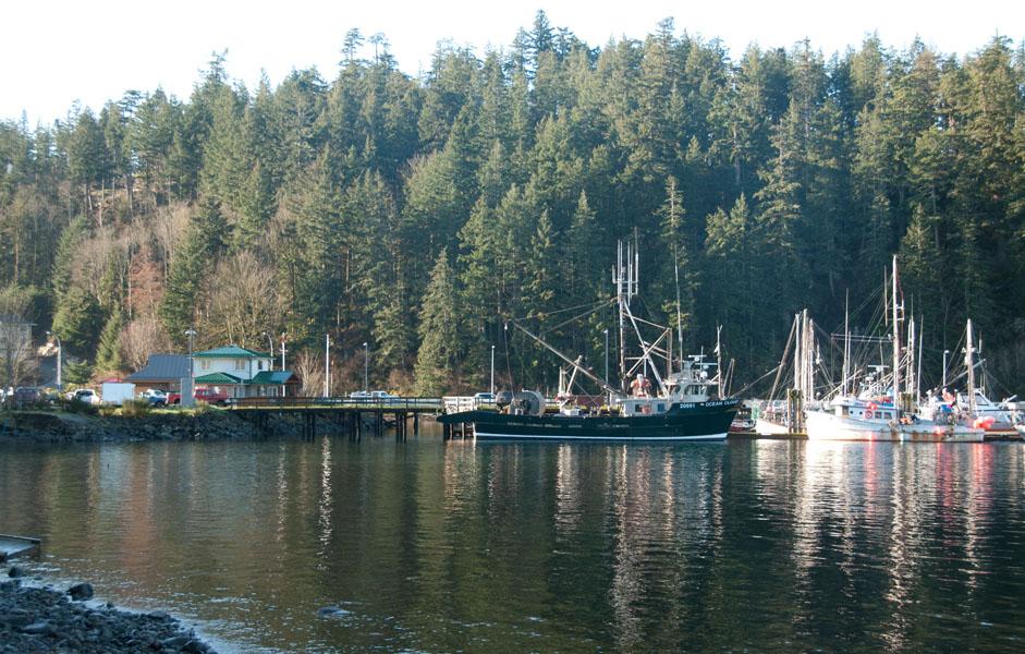 Quathiaski Cove marina overview
