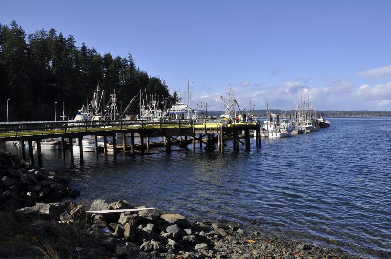 Marina services at Quathiaski Cove